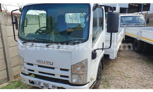 Buy Used Isuzu Elf White Truck in Beitbridge in Matabeleland South