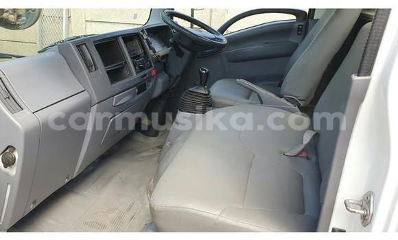 Tenga Tsaru Isuzu Elf Chena Rori in Beitbridge in Matabeleland South Tenga Tsaru Isuzu Elf Chena Rori in Beitbridge in Matabeleland South