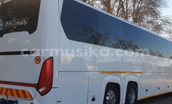 Tenga Tsaru Scania Irizar Chena Rori in Harare in Harare Tenga Tsaru Scania Irizar Chena Rori in Harare in Harare