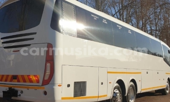 Tenga Tsaru Scania Irizar Chena Rori in Harare in Harare Tenga Tsaru Scania Irizar Chena Rori in Harare in Harare