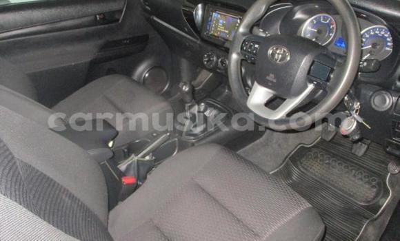 Tenga Tsaru Toyota Hilux Chena Mota in Beitbridge in Matabeleland South Tenga Tsaru Toyota Hilux Chena Mota in Beitbridge in Matabeleland South