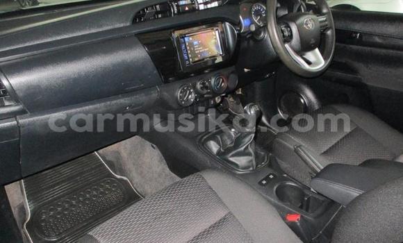 Tenga Tsaru Toyota Hilux Chena Mota in Beitbridge in Matabeleland South Tenga Tsaru Toyota Hilux Chena Mota in Beitbridge in Matabeleland South