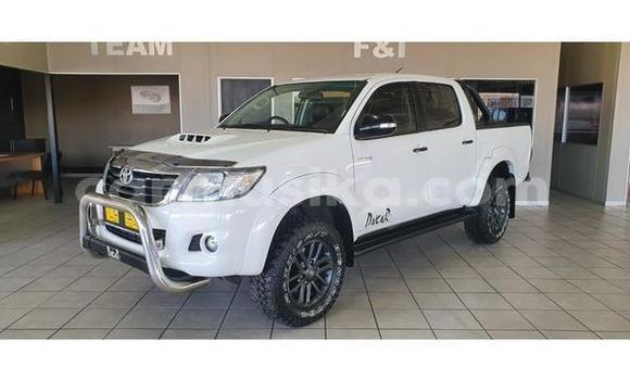 Tenga Tsaru Toyota Hilux Chena Mota in Beitbridge in Matabeleland South