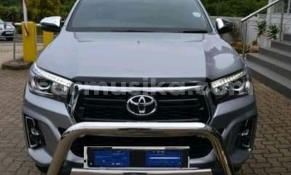 Tenga Tsaru Toyota Hilux Chena Mota in Beitbridge in Matabeleland South