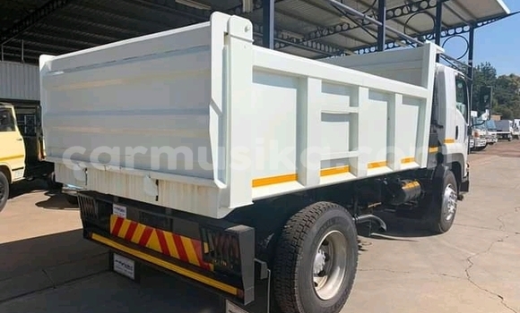 Buy Used Isuzu Elf White Truck in Chimanimani in Manicaland Buy Used Isuzu Elf White Truck in Chimanimani in Manicaland