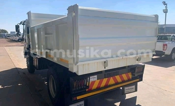Buy Used Isuzu Elf White Truck in Chimanimani in Manicaland Buy Used Isuzu Elf White Truck in Chimanimani in Manicaland