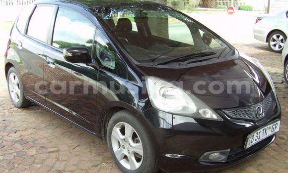 Tenga Tsaru Honda Jazz Nhema Mota in Harare in Harare