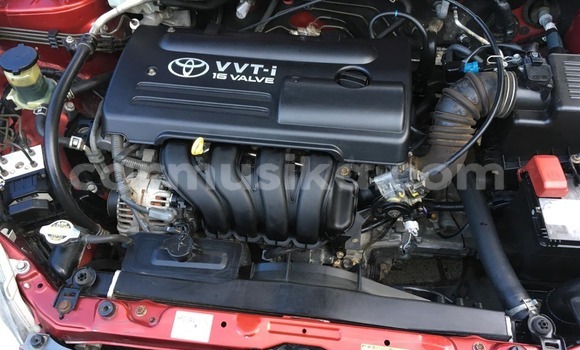 Buy Used Toyota Runx Red Car in Beitbridge in Matabeleland South Buy Used Toyota Runx Red Car in Beitbridge in Matabeleland South