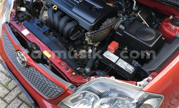 Buy Used Toyota Runx Red Car in Beitbridge in Matabeleland South Buy Used Toyota Runx Red Car in Beitbridge in Matabeleland South