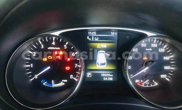 Tenga Tsaru Nissan X–Trail Chena Mota in Harare in Harare Tenga Tsaru Nissan X–Trail Chena Mota in Harare in Harare