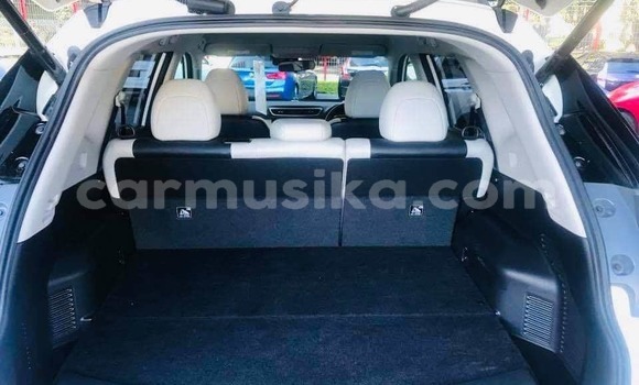 Tenga Tsaru Nissan X–Trail Chena Mota in Harare in Harare Tenga Tsaru Nissan X–Trail Chena Mota in Harare in Harare