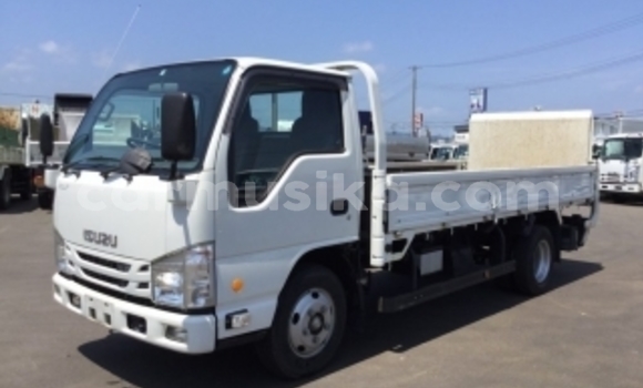 Buy Used Isuzu Elf White Truck in Beitbridge in Matabeleland South Buy Used Isuzu Elf White Truck in Beitbridge in Matabeleland South