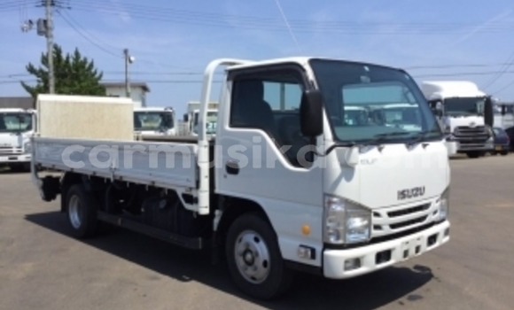 Buy Used Isuzu Elf White Truck in Beitbridge in Matabeleland South Buy Used Isuzu Elf White Truck in Beitbridge in Matabeleland South