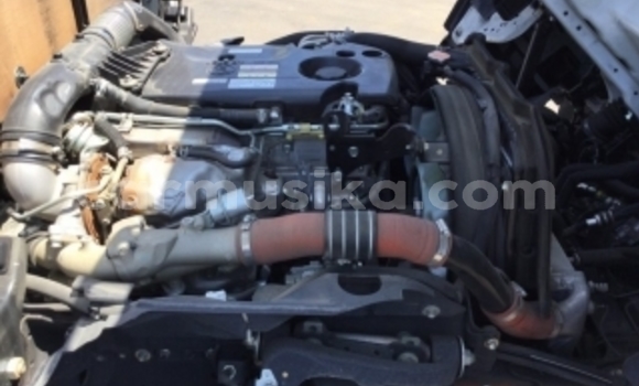 Buy Used Isuzu Elf White Truck in Beitbridge in Matabeleland South Buy Used Isuzu Elf White Truck in Beitbridge in Matabeleland South