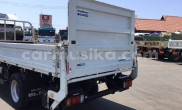 Buy Used Isuzu Elf White Truck in Beitbridge in Matabeleland South Buy Used Isuzu Elf White Truck in Beitbridge in Matabeleland South