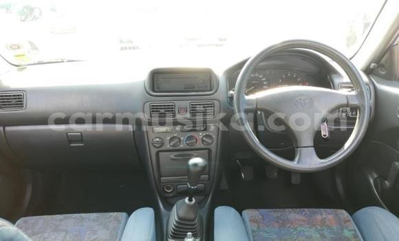 Buy Used Toyota Corolla Blue Car in Beitbridge in Matabeleland South Buy Used Toyota Corolla Blue Car in Beitbridge in Matabeleland South