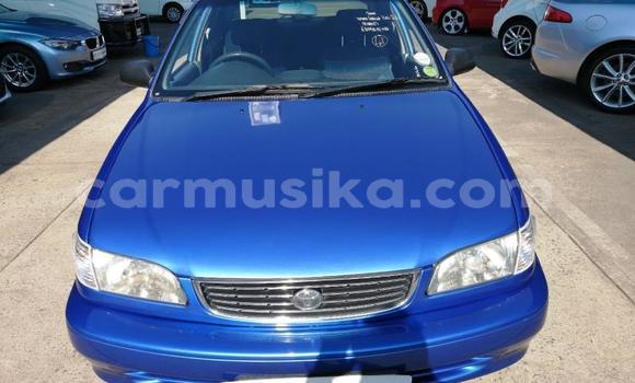 Buy Used Toyota Corolla Blue Car in Beitbridge in Matabeleland South Buy Used Toyota Corolla Blue Car in Beitbridge in Matabeleland South