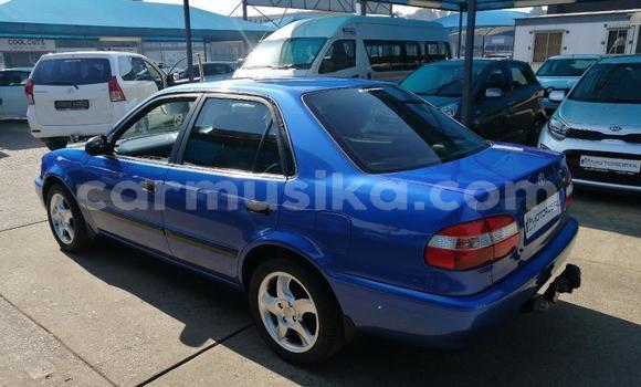 Buy Used Toyota Corolla Blue Car in Beitbridge in Matabeleland South Buy Used Toyota Corolla Blue Car in Beitbridge in Matabeleland South