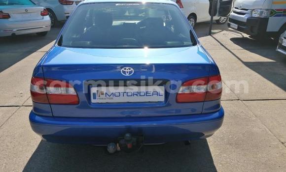 Buy Used Toyota Corolla Blue Car in Beitbridge in Matabeleland South Buy Used Toyota Corolla Blue Car in Beitbridge in Matabeleland South