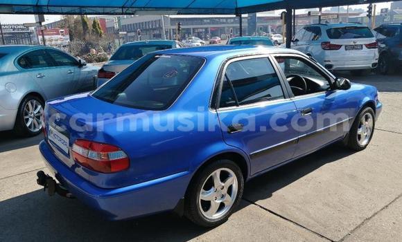 Buy Used Toyota Corolla Blue Car in Beitbridge in Matabeleland South Buy Used Toyota Corolla Blue Car in Beitbridge in Matabeleland South