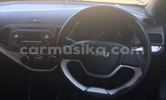 Tenga Tsaru Kia Picanto Chena Mota in Harare in Harare Tenga Tsaru Kia Picanto Chena Mota in Harare in Harare