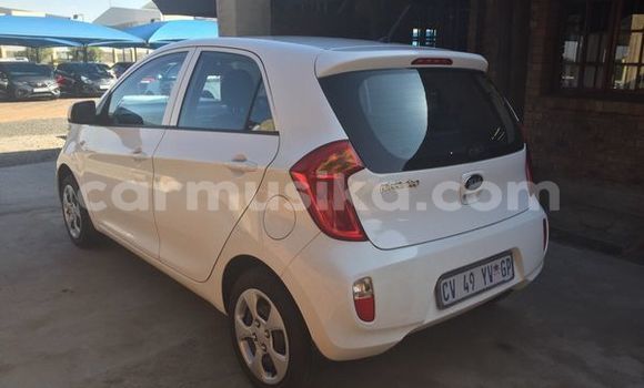 Tenga Tsaru Kia Picanto Chena Mota in Harare in Harare Tenga Tsaru Kia Picanto Chena Mota in Harare in Harare
