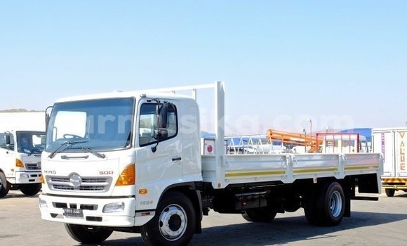 Tenga Tsaru Hino 300 Chena Rori in Beitbridge in Matabeleland South Tenga Tsaru Hino 300 Chena Rori in Beitbridge in Matabeleland South