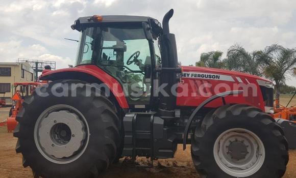 Tenga Tsaru DAF CF Tsvuku Rori in Harare in Harare Tenga Tsaru DAF CF Tsvuku Rori in Harare in Harare