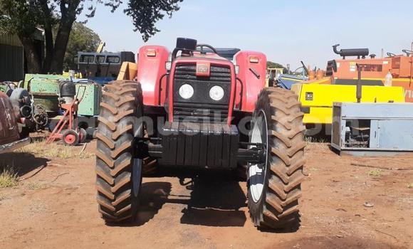 Tenga Tsaru Caterpillar 120 Tsvuku Rori in Beitbridge in Matabeleland South Tenga Tsaru Caterpillar 120 Tsvuku Rori in Beitbridge in Matabeleland South