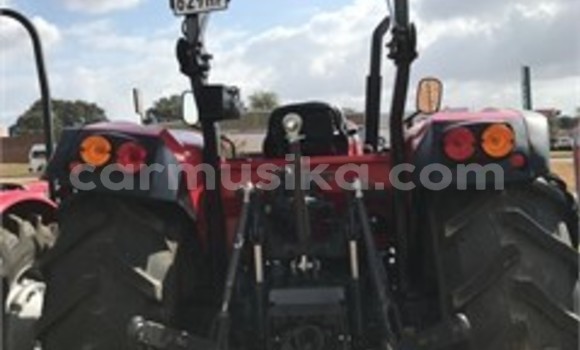 Tenga Tsaru Caterpillar 120 Tsvuku Rori in Harare in Harare Tenga Tsaru Caterpillar 120 Tsvuku Rori in Harare in Harare