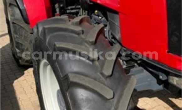 Tenga Tsaru Caterpillar 120 Tsvuku Rori in Harare in Harare Tenga Tsaru Caterpillar 120 Tsvuku Rori in Harare in Harare