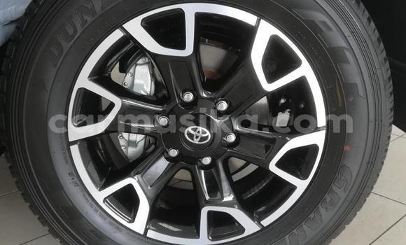 Tenga Tsaru Toyota Hilux Chena Mota in Harare in Harare Tenga Tsaru Toyota Hilux Chena Mota in Harare in Harare