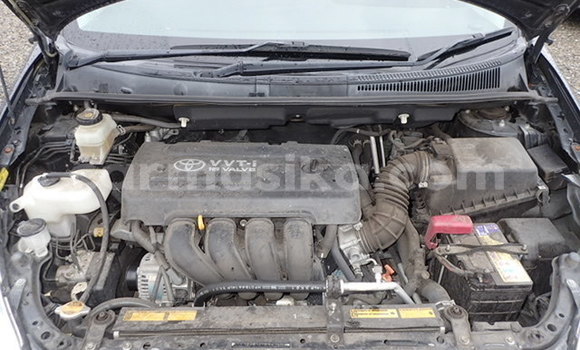 Tenga Imported Toyota Wish Nhema Mota in Beitbridge in Matabeleland South Tenga Imported Toyota Wish Nhema Mota in Beitbridge in Matabeleland South