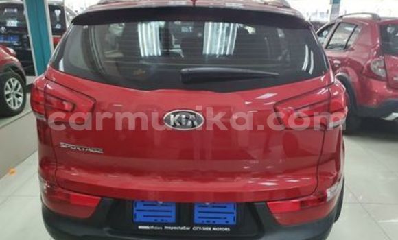 Nunua Ilio tumika Kia Sportage Nyekundu Gari ndani ya Beitbridge nchini Matabeleland Kusini Nunua Ilio tumika Kia Sportage Nyekundu Gari ndani ya Beitbridge nchini Matabeleland Kusini