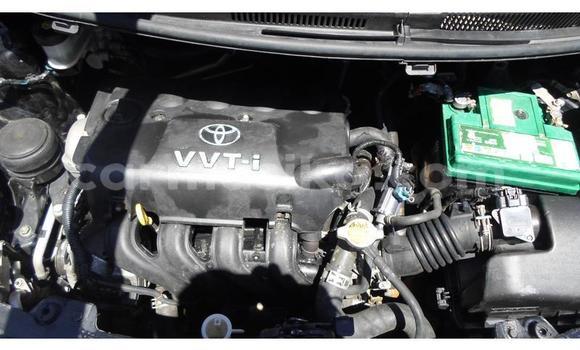 Tenga Tsaru Toyota Vitz Nhema Mota in Beitbridge in Matabeleland South Tenga Tsaru Toyota Vitz Nhema Mota in Beitbridge in Matabeleland South