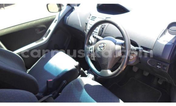 Tenga Tsaru Toyota Vitz Nhema Mota in Beitbridge in Matabeleland South Tenga Tsaru Toyota Vitz Nhema Mota in Beitbridge in Matabeleland South