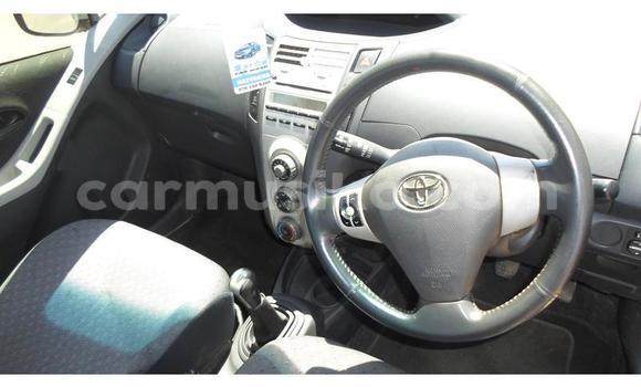 Tenga Tsaru Toyota Vitz Nhema Mota in Beitbridge in Matabeleland South Tenga Tsaru Toyota Vitz Nhema Mota in Beitbridge in Matabeleland South