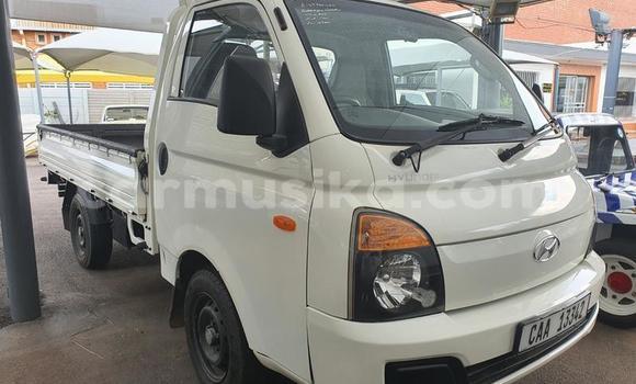 Tenga Tsaru Hyundai Cargo Chena Mota in Beitbridge in Matabeleland South