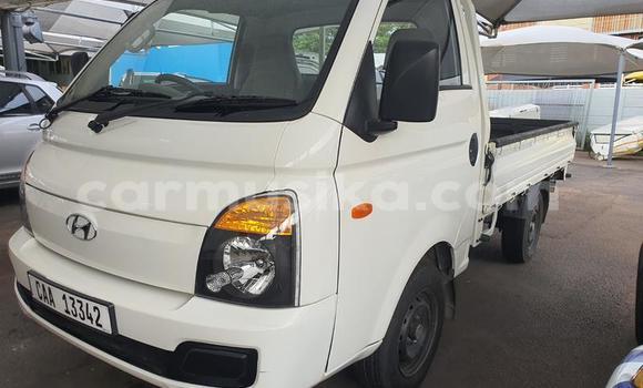 Tenga Tsaru Hyundai Cargo Chena Mota in Beitbridge in Matabeleland South Tenga Tsaru Hyundai Cargo Chena Mota in Beitbridge in Matabeleland South