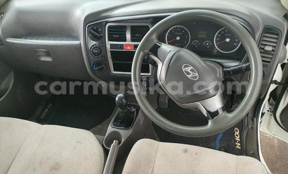 Tenga Tsaru Hyundai Cargo Chena Mota in Beitbridge in Matabeleland South Tenga Tsaru Hyundai Cargo Chena Mota in Beitbridge in Matabeleland South