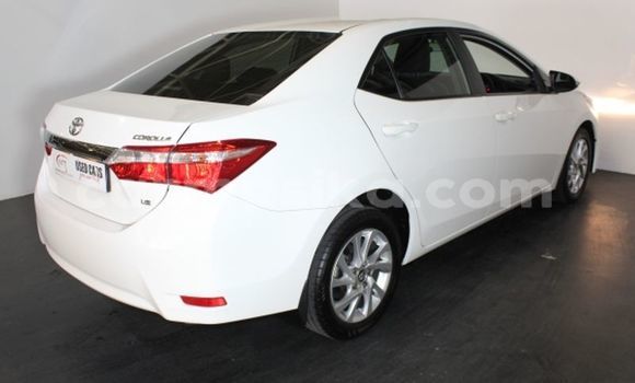 Buy Used Toyota Corolla White Car in Alexandra Park in Harare Buy Used Toyota Corolla White Car in Alexandra Park in Harare