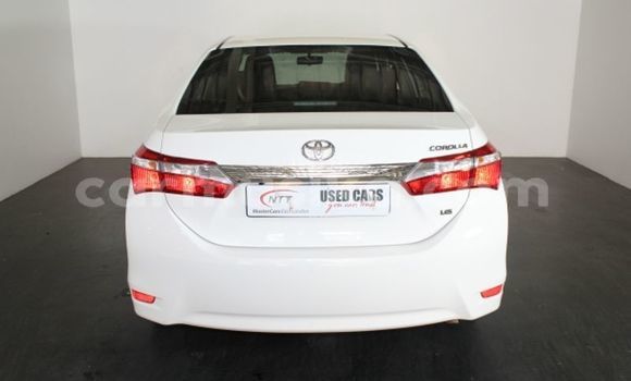 Buy Used Toyota Corolla White Car in Alexandra Park in Harare Buy Used Toyota Corolla White Car in Alexandra Park in Harare