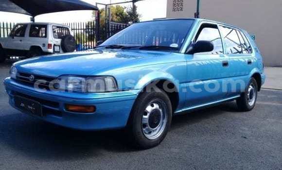 Buy Used Toyota Corolla Other Car in Beitbridge in Matabeleland South