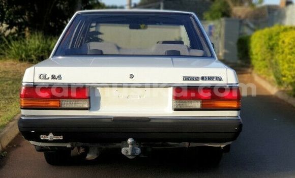 Buy Used Toyota Cressida White Car in Beitbridge in Matabeleland South Buy Used Toyota Cressida White Car in Beitbridge in Matabeleland South