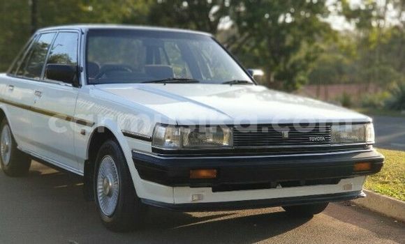 Buy Used Toyota Cressida White Car in Beitbridge in Matabeleland South Buy Used Toyota Cressida White Car in Beitbridge in Matabeleland South