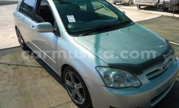 Buy Used Toyota Runx Silver Car in Beitbridge in Matabeleland South