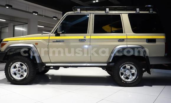 Tenga Tsaru Toyota Land Cruiser Sirivha Mota in Beitbridge in Matabeleland South