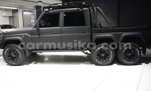 Acheter Occasion Voiture Toyota Land Cruiser Gris à Beitbridge, Matabeleland South