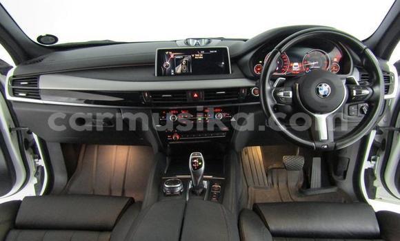 Tenga Tsaru BMW X6 Chena Mota in Beitbridge in Matabeleland South Tenga Tsaru BMW X6 Chena Mota in Beitbridge in Matabeleland South