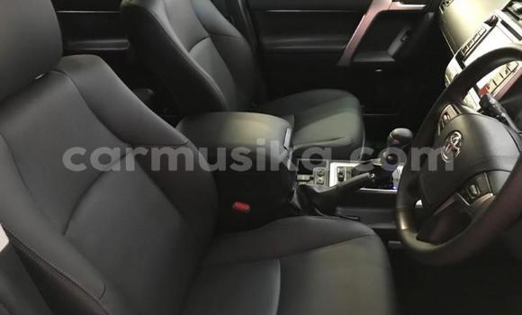 Tenga Itsva Toyota Land Cruiser Prado Sirivha Mota in Harare in Harare Tenga Itsva Toyota Land Cruiser Prado Sirivha Mota in Harare in Harare